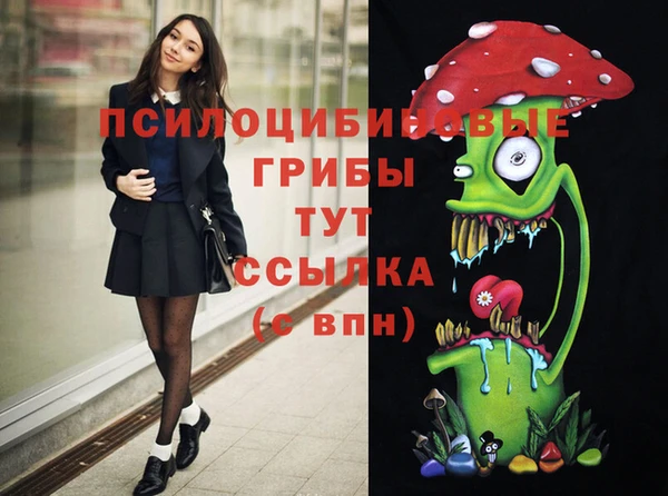 спиды Алексин