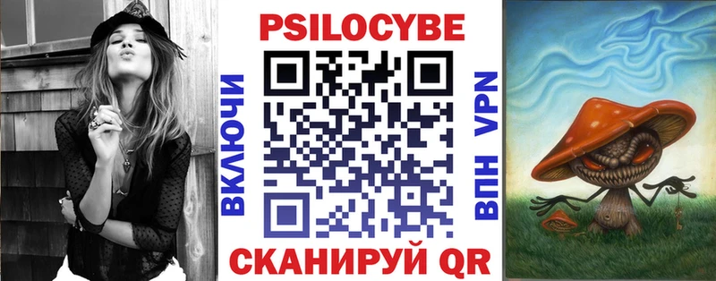 гидра зеркало Карталы Псилоцибиновые грибы Psilocybe